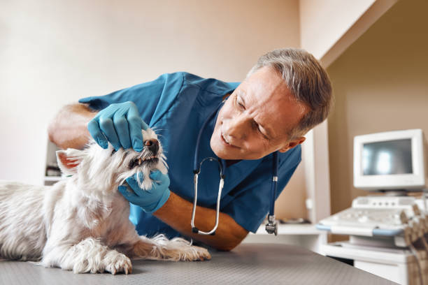 Best Emergency Dental Surgery in Walnut Grove, GA
